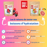 Publicité gamme boissons d'hydratation Mulebar aux agrumes et fruits rouges