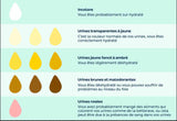 Déshydratation selon couleur de l'urine