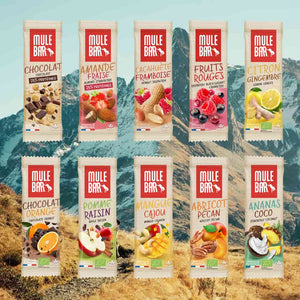 Pack découverte 10 barres énergétiques Mulebar 40g