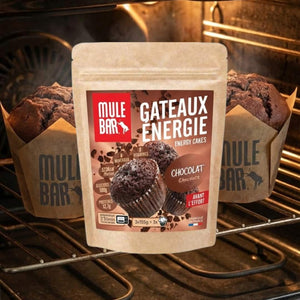 Gâteau énergie au chocolat 465g