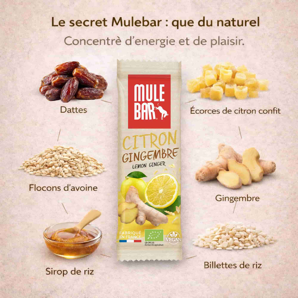 Ingrédients barre énergétique Mulebar citron gingembre