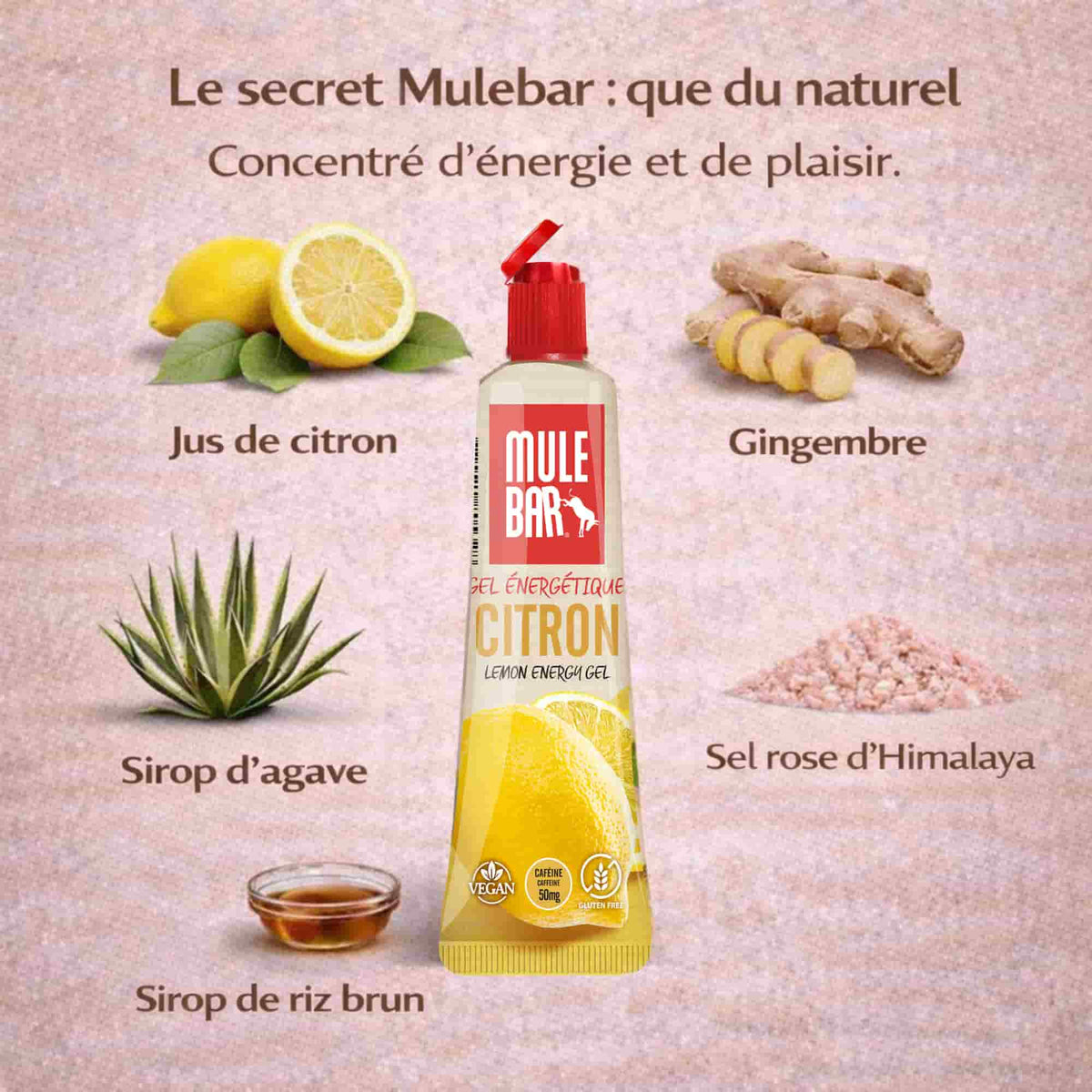 Ingrédients gel énergétique caféiné Mulebar citron
