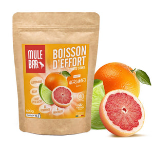 Boisson de l'effort Mulebar agrumes 40g dose unitaire